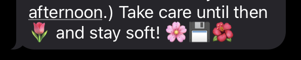 a screenshot of an emoji signoff, reading 'Take care until then [rose emoji] and stay soft! [cherry blossom emoji] [floppy disk emoji] [hibiscus emoji]